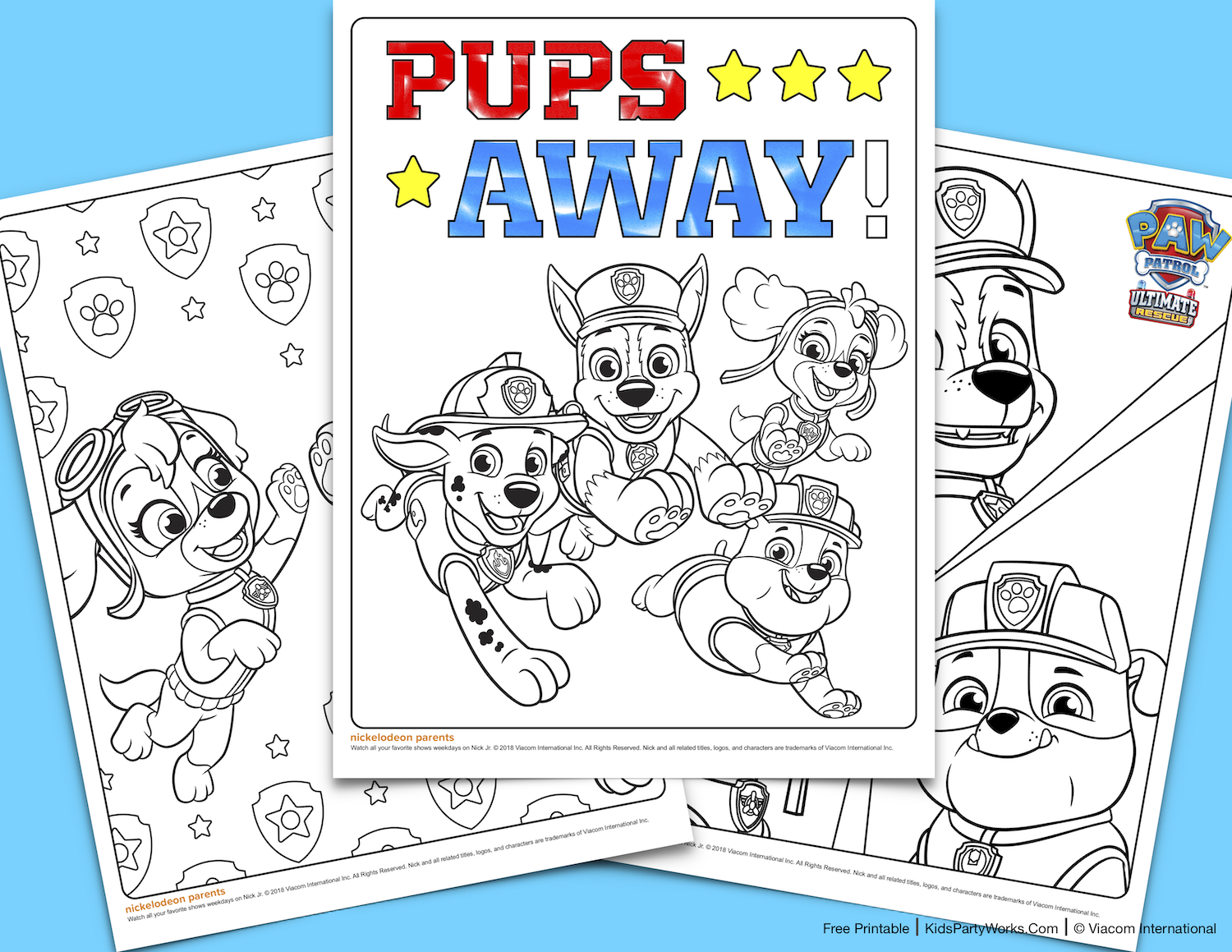 Paw Patrol Birthday